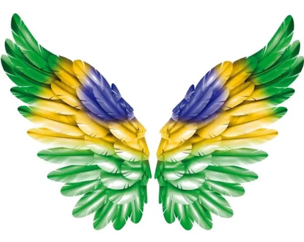 Wings Brazil ⟭⟬ً⁷ 🐹🎂 on X: 📝